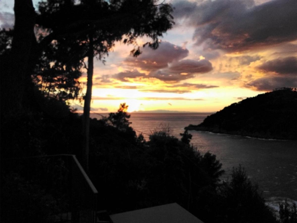 Villa Mimosa Splendida Vista Mare Bonassola Buitenkant foto