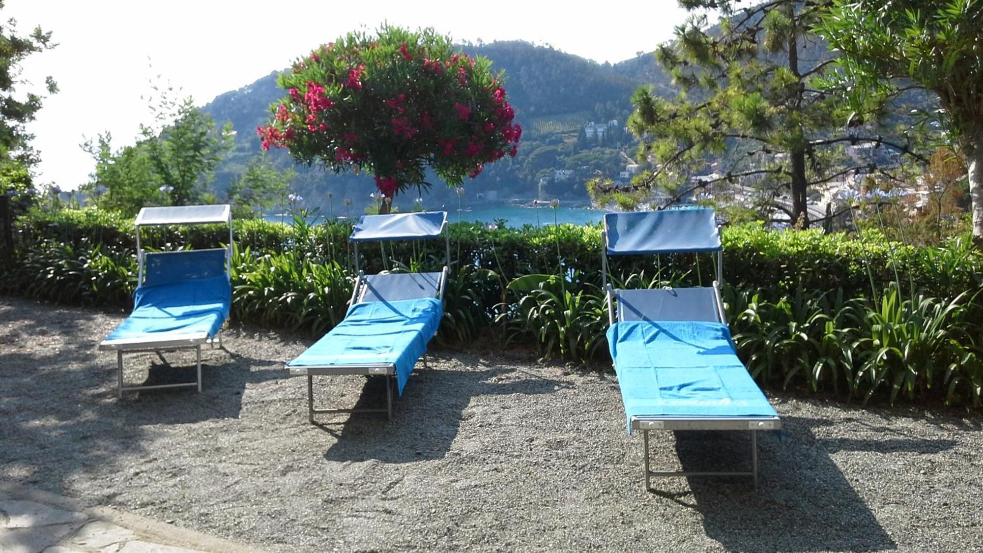 Villa Mimosa Splendida Vista Mare Bonassola Buitenkant foto