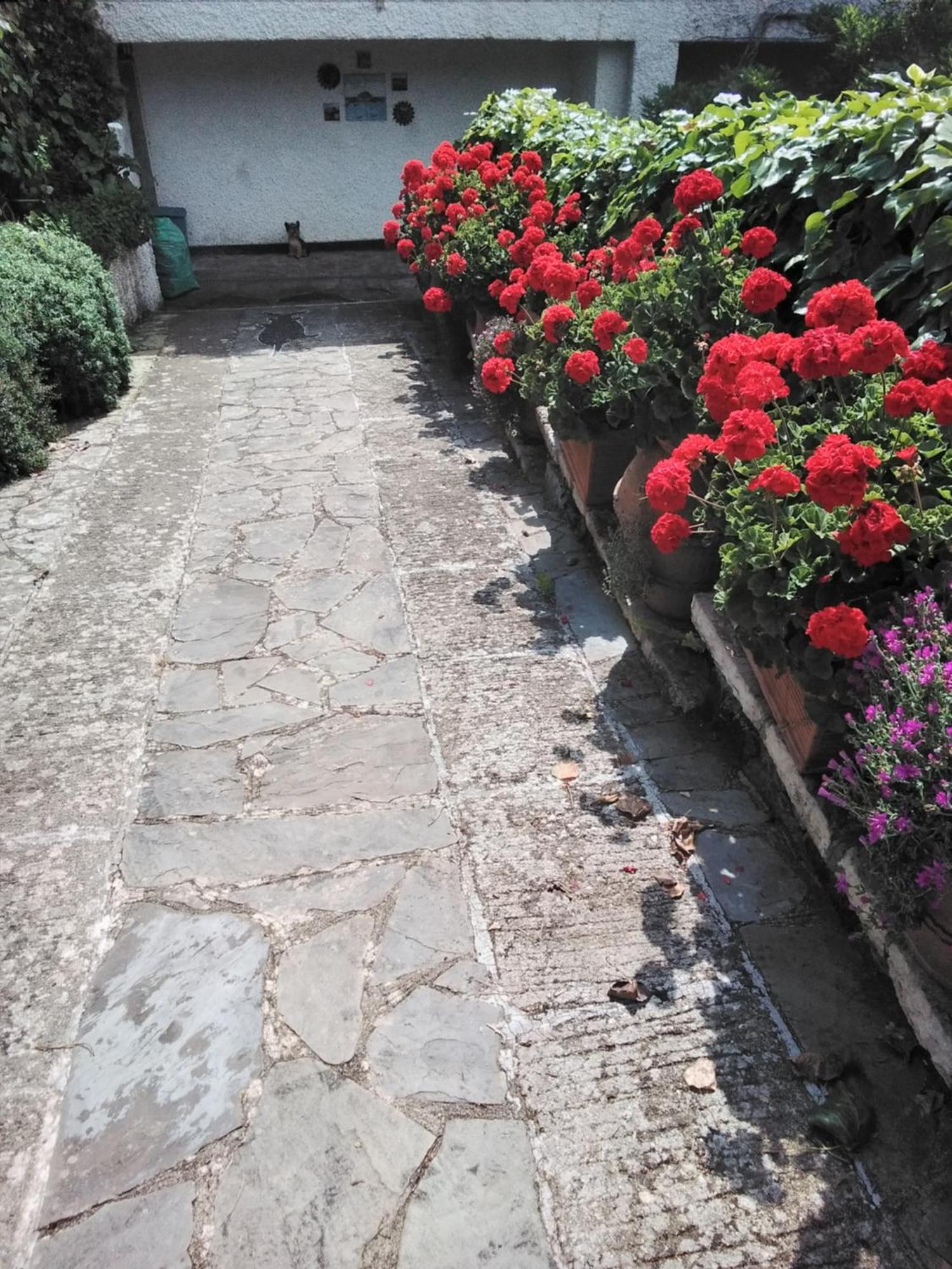 Villa Mimosa Splendida Vista Mare Bonassola Buitenkant foto
