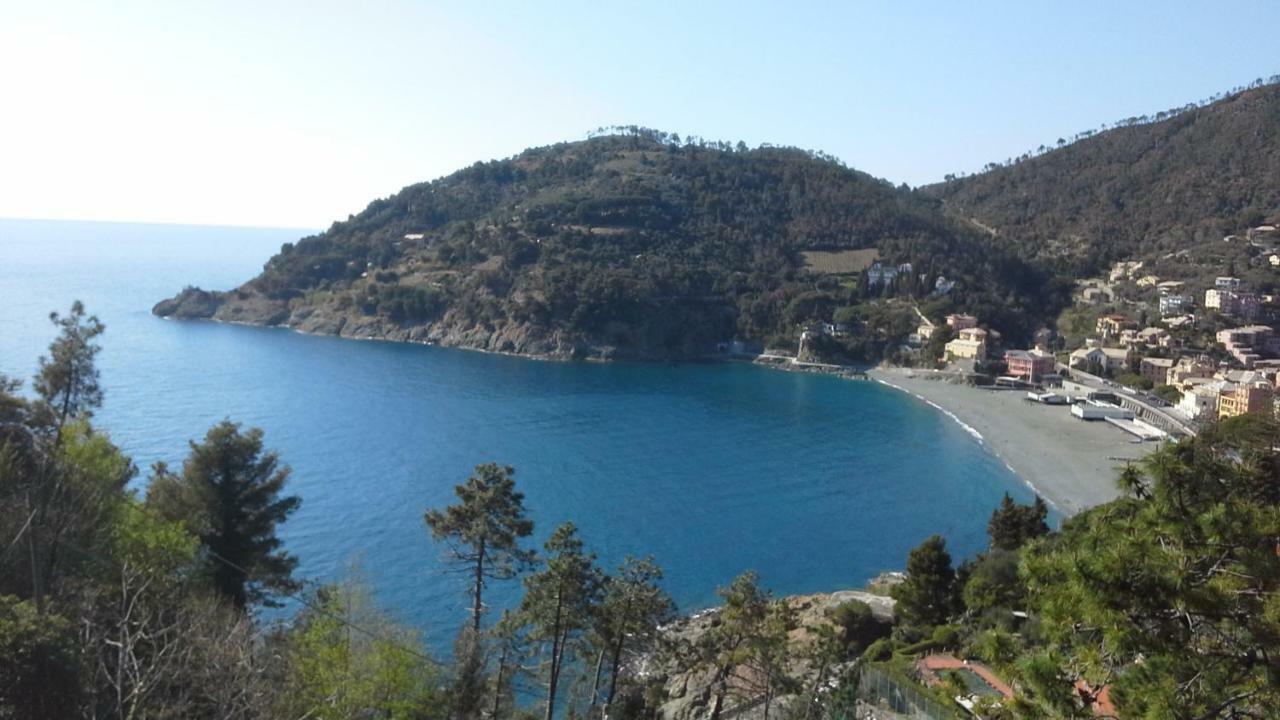 Villa Mimosa Splendida Vista Mare Bonassola Buitenkant foto